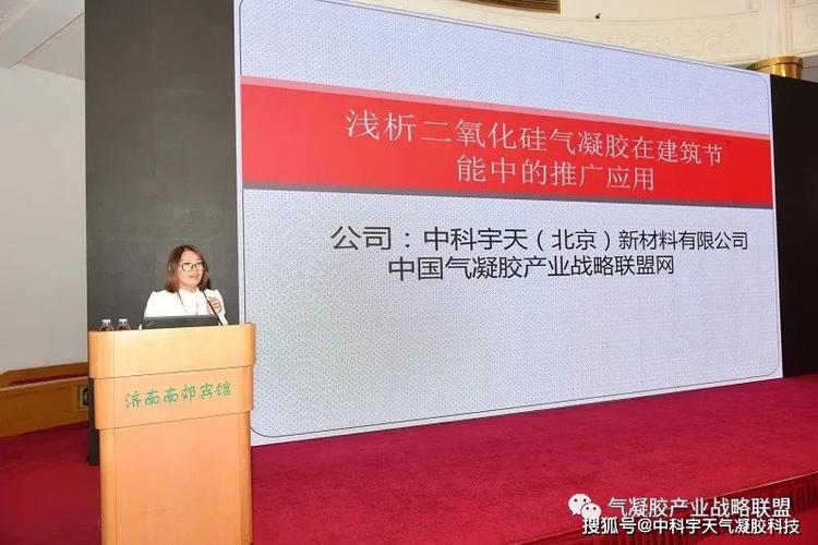 郑州圣莱特空心微珠新材料有限公司郑丽丽经理发言